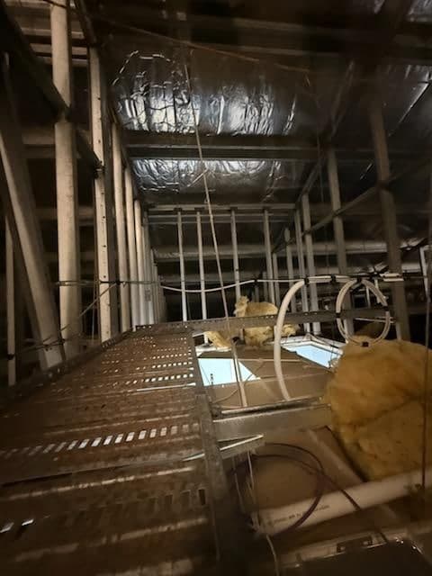 Napranum progress photo - Media-16