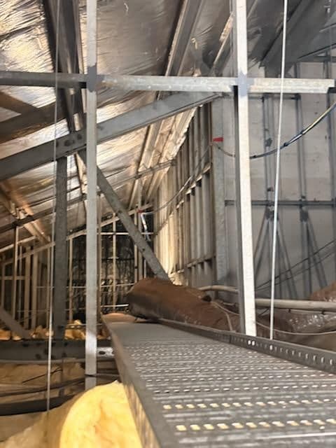 Napranum progress photo - Media-17