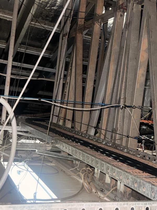 Napranum progress photo - Media-22