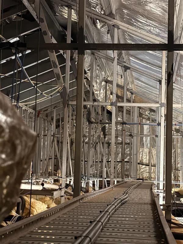 Napranum progress photo - Media-23